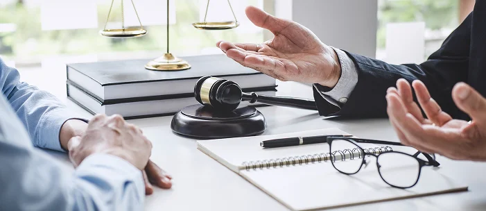 Consulting Services