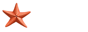 DISLAW Consulting