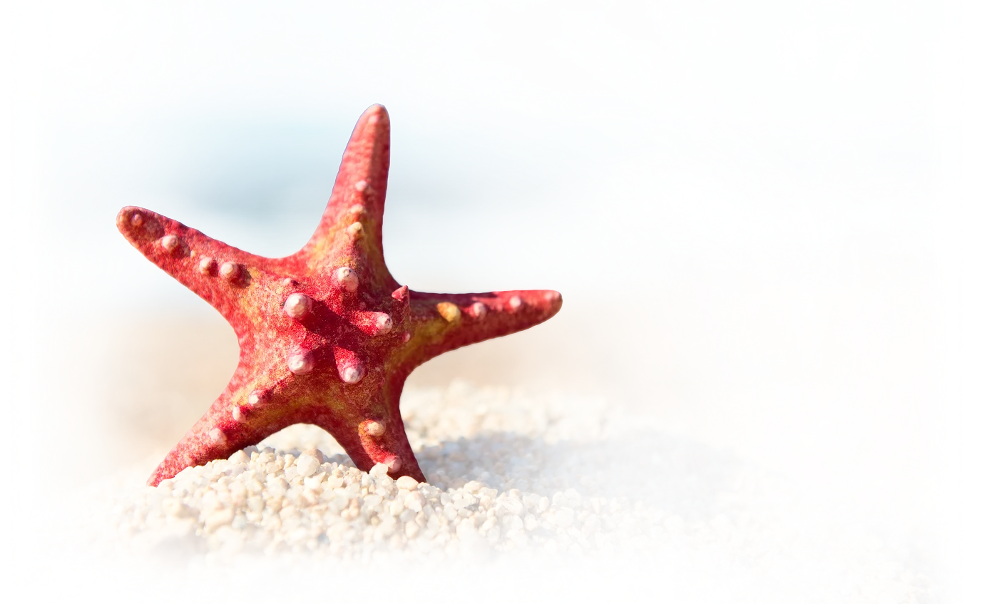 Starfish
